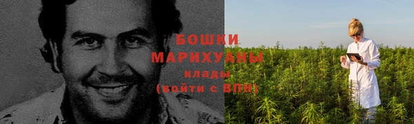 ECSTASY Рославль
