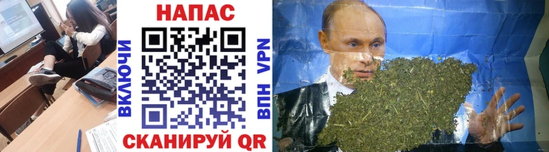 кракен ONION  Змеиногорск  Бошки Шишки план 